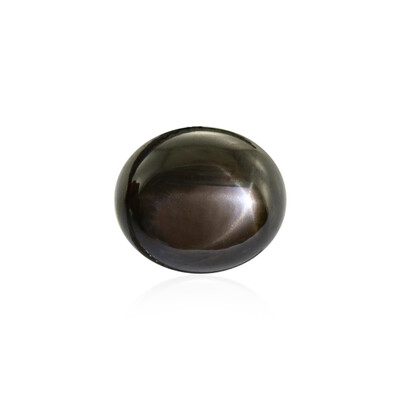 Gemme et Saphir étoilé noir 13,32 ct