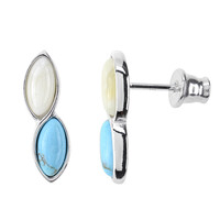 Boucles d'oreilles en argent et Turquoise