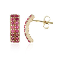 Boucles d'oreilles en or et Rubellite