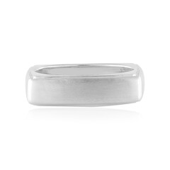 Bague en argent (de Melo)