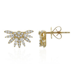 Boucles d'oreilles en or et Diamant SI2 (H)