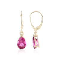 Boucles d'oreilles en or et Rubellite (AMAYANI)