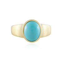 Bague en argent et Turquoise Sleeping Beauty