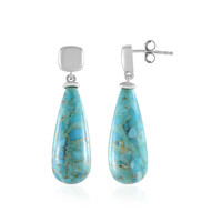 Boucles d'oreilles en argent et Turquoise