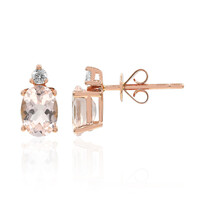 Boucles d'oreilles en or et Morganite AAA (CIRARI)