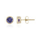 Boucles d'oreilles en or et Tanzanite