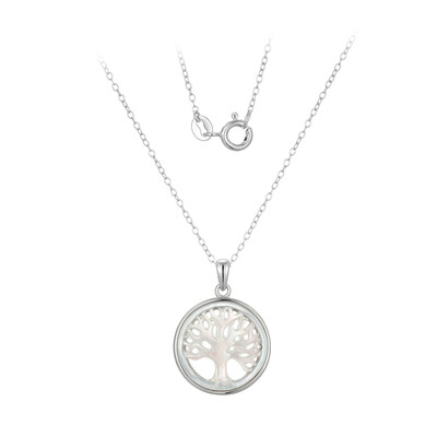 Collier en argent et Nacre