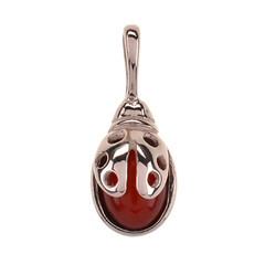 Pendentif en argent et Ambre baltique