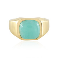 Bague pour homme en argent et Amazonite