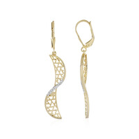 Boucles d'oreilles en argent et Zircon