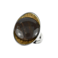 Bague en argent et Bois fossilisé