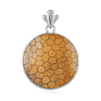 Pendentif en argent et Corail fossilisé (Bali Barong)