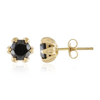 Boucles d'oreilles en or et Diamant noir