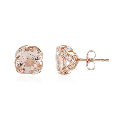 Boucles d'oreilles en or et Morganite pêche AAA (de Melo)