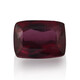 Gemme et Rubellite 1,085 ct