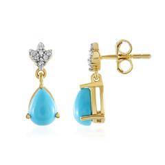 Boucles d'oreilles en argent et Turquoise Sleeping Beauty