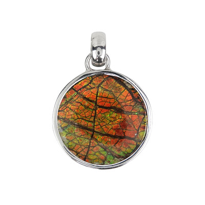 Pendentif en argent et Ammolite