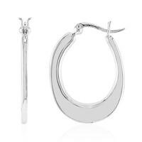 Boucles d'oreilles en argent