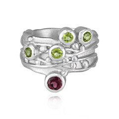 Bague en argent et Grenat Rhodolite