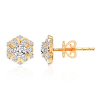 Boucles d'oreilles en or et Diamant SI1 (G)