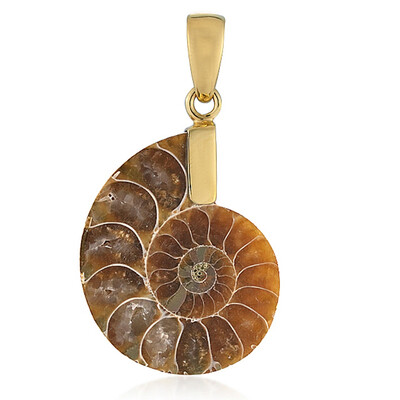 Pendentif en argent et Ammonite