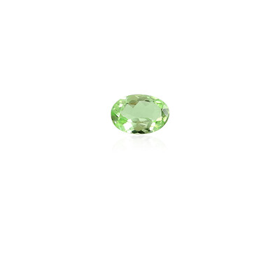 Gemme et Grenat vert menthe de Merelani 0,618 ct