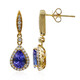 Boucles d'oreilles en or et Tanzanite AAA (CIRARI)