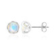 Boucles d'oreilles en argent et Opale Welo