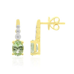 Boucles d'oreilles en or et Grenat Tsavorite (Tenner Diniz)