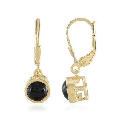 Boucles d'oreilles en argent et Onyx noir