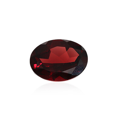 Gemme et Grenat du Mozambique 14,393 ct