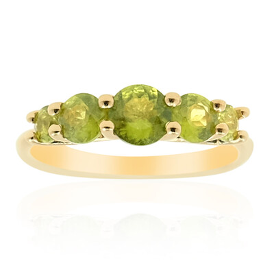 Bague en argent et Vésuvianite