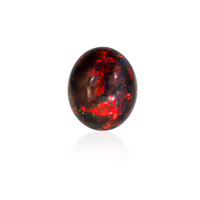  Opale Mezezo 11,543 ct (gemme et boîte de collection)