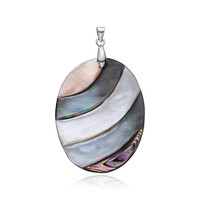 Pendentif en argent et Coquillage d'Abalone