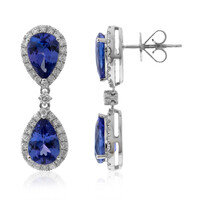 Boucles d'oreilles en or et Tanzanite AAA (CIRARI)