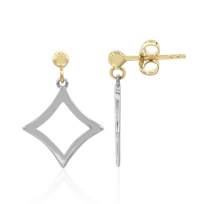 Boucles d'oreilles en argent