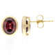 Boucles d'oreilles en or et Zircon rouge (CUSTODANA)