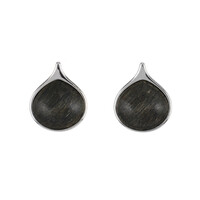 Boucles d'oreilles en argent et Chêne des marais