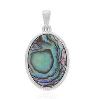 Pendentif en argent et Coquillage d'Abalone