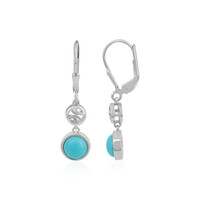 Boucles d'oreilles en argent et Turquoise Sleeping Beauty